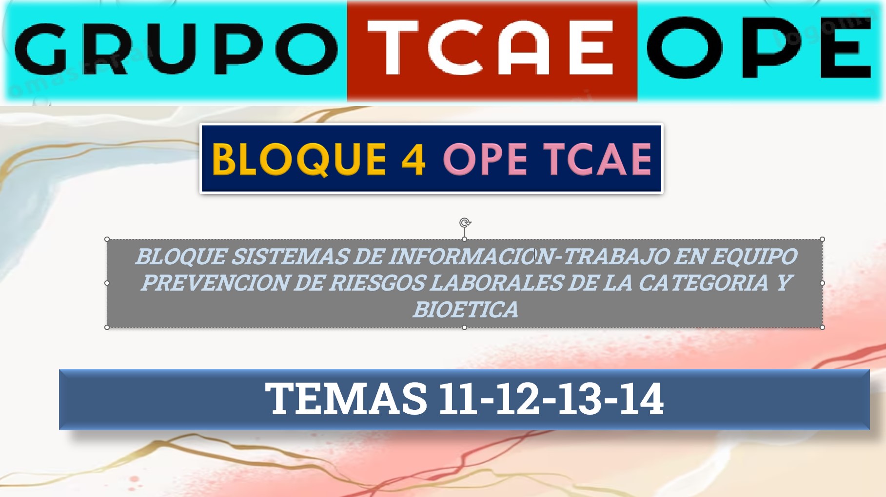 BLOQUE 4 TCAE 2024-1.jpg